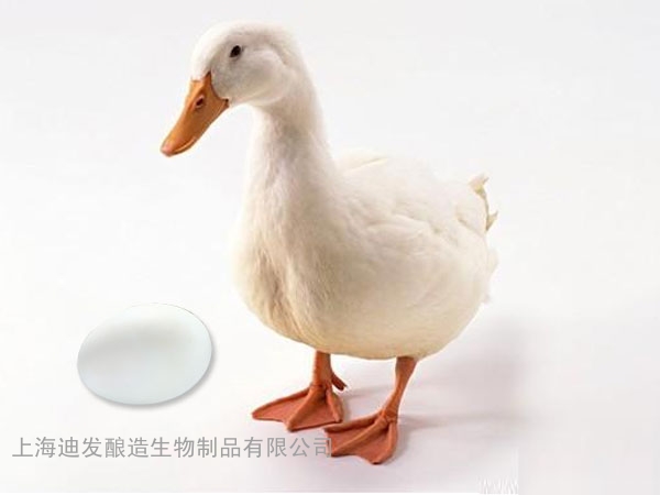迪发蛋鸭酶制剂