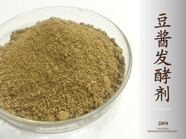 豆酱发酵剂